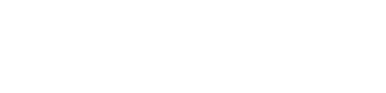Logo: Still Searching